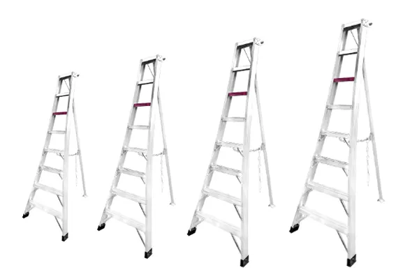 Orchard Ladder