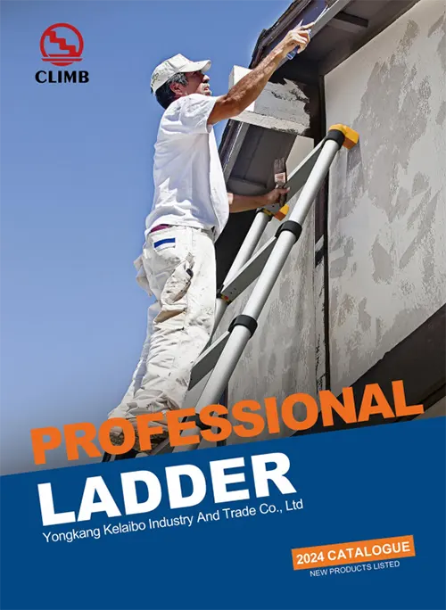 ladder catalog