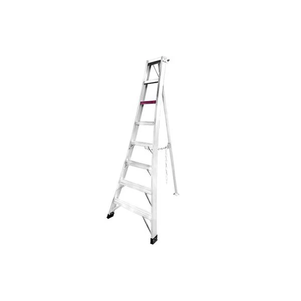 Orchard ladder