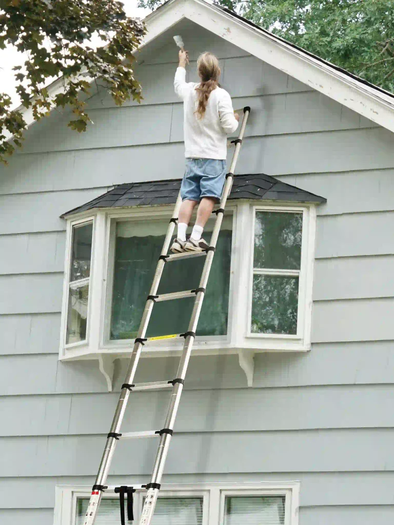 Telescopic ladder