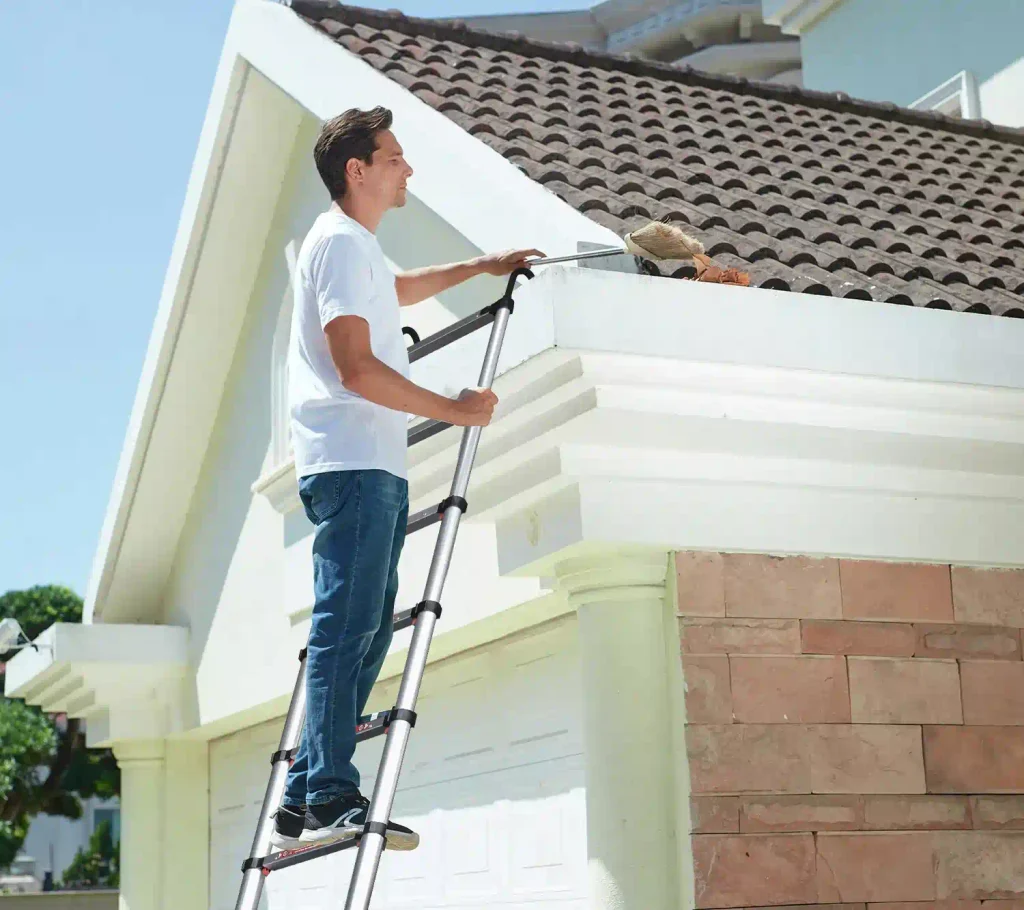 Soft close telescopic ladder basic model
